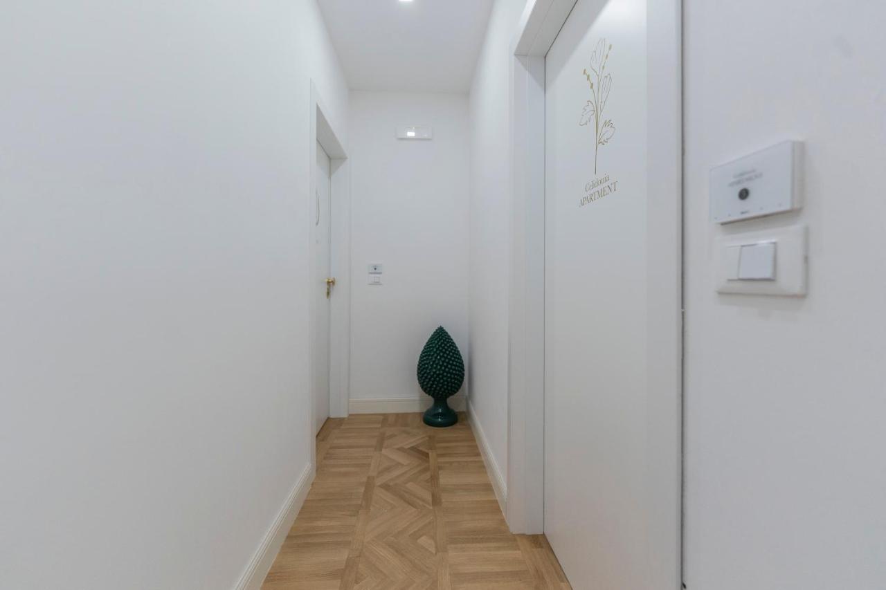 Aldrovandi Luxury Suites And Apartment โบโลญญา ภายนอก รูปภาพ